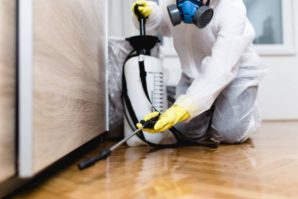 Best Emergency Pest Control  in Diberville, MS