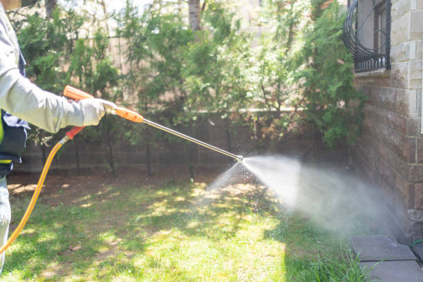 Best Rat Extermination Near Me  in Diberville, MS